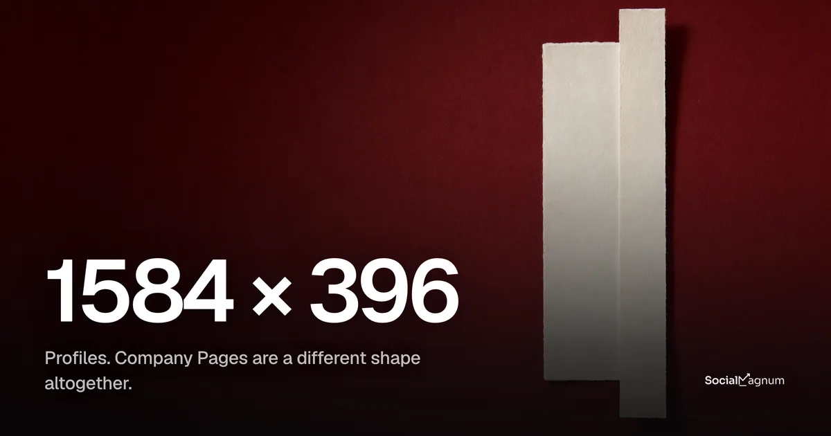 Two long narrow blank paper strips of different proportions overlapping on a coloured ground
