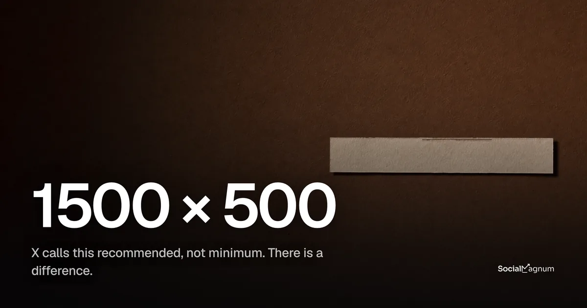 A single very wide shallow blank paper strip lying alone on a coloured ground